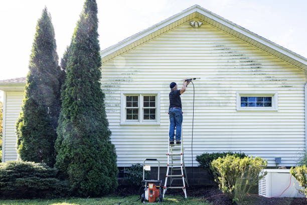 Roof Power Washing Services in Westwood, CA