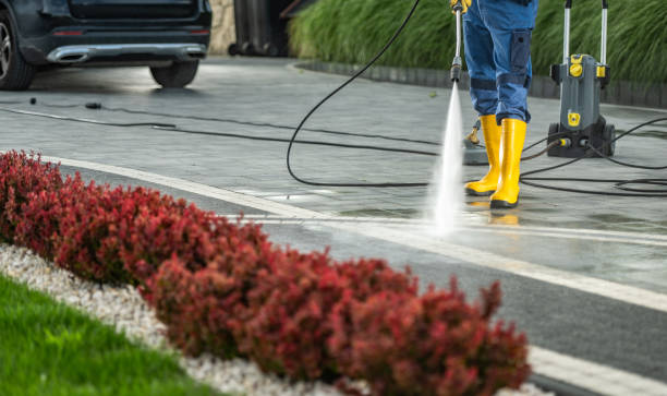  Westwood, CA Pressure Washing Pros